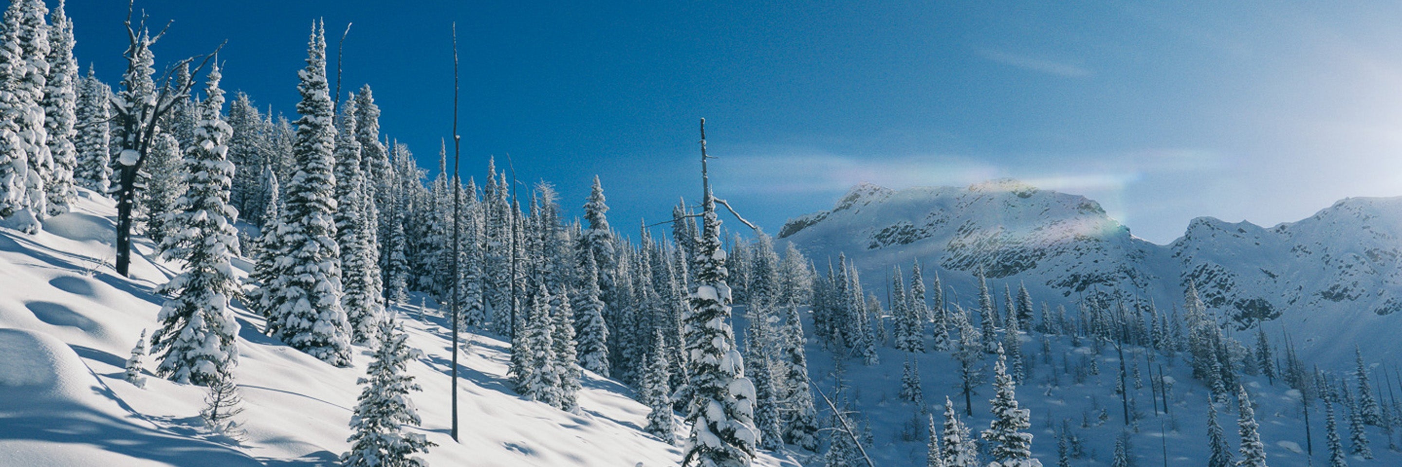 Christmas bundles unlocked