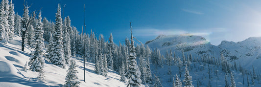 Christmas bundles unlocked