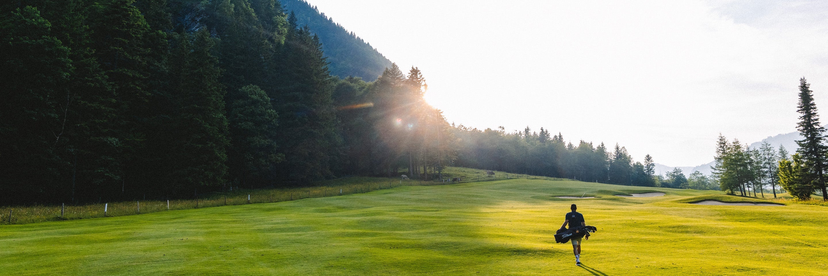 Men's Golf