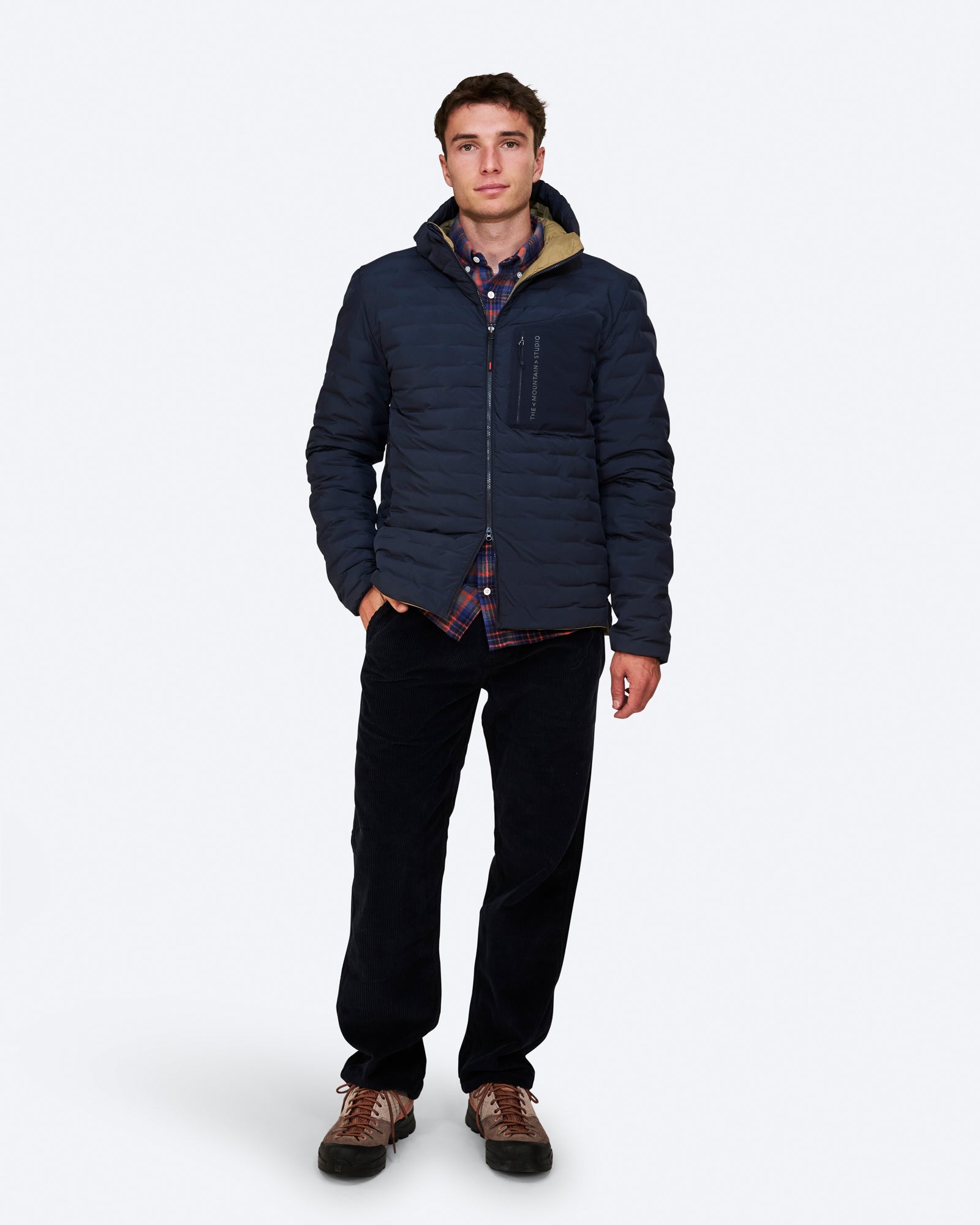 D-3 RL image