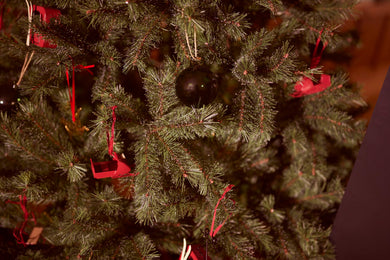 Hero_sep_aw25_DESKTOPDec2